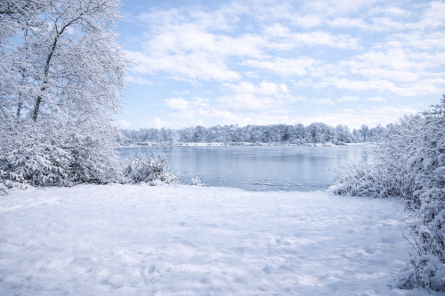 Lovné místo 3 s chatkou
