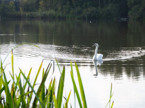 Mapa jezera Kapřák